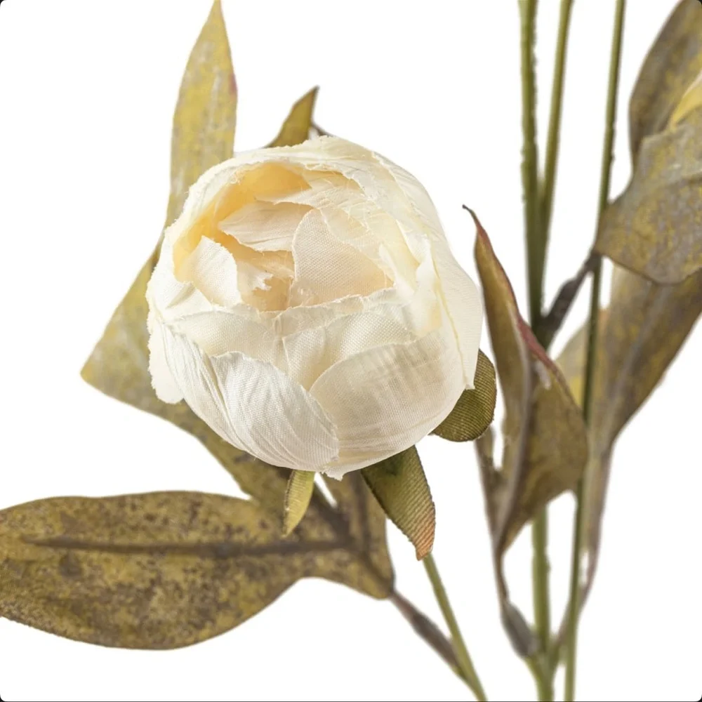 Cream White Michael’s Ashland Viral Peonies Flowers • Set of 8 Peony Stems